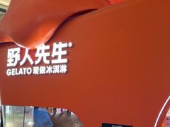 -野人先生现做冰淇淋(北京王府井东方新天地店)