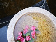 -碧水湾温泉