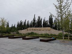 -永定河休闲森林公园