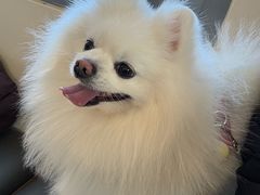 -小意思咖啡店(草桥店)