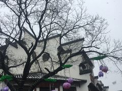 -老城南.鸭血粉丝汤(夫子庙店)