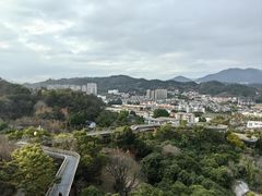 -福道