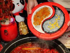 -蜀大侠火锅(总府路店)