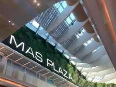 -白玉兰食品(甜云店)
