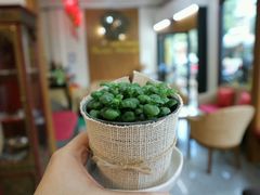 -新月水疗保健中心(2号店)