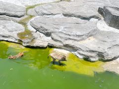 -望天湖