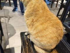 -西园寺素食(西园弄戒幢律寺店)