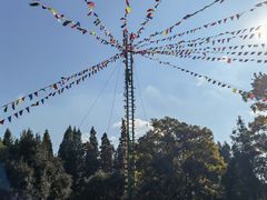 -云南民族村
