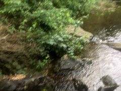 -山沟沟景区
