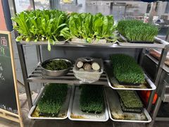 -阳光山水江湖菜馆(西山龙门店)