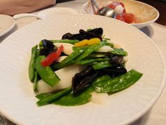 -大树餐厅(益田假日店)