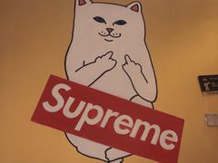 -野萃山·潮汕厚果汁(十亩地店)