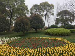 -上海鲜花港