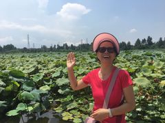 -三圣花乡旅游区