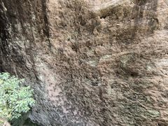 -武夷山风景名胜区-玉女峰