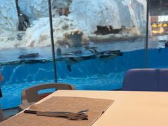 -帝企鹅自助餐厅•儿童岛•真企鹅(长隆企鹅酒店)