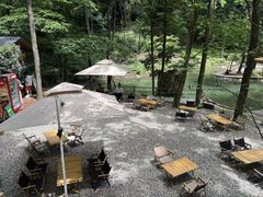 -牛背梁国家森林公园