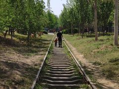 -永定河休闲森林公园