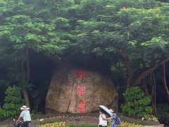 -野狸岛