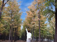 -汉景帝阳陵博物院