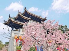 -宝墨园景区