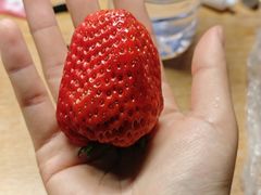 -牛New寿喜烧(新六百店)