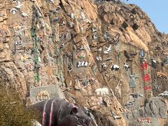 -西霞口神雕山野生动物世界