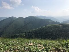 -张北坝上草原