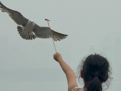 -黑石礁公园