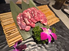 -杨小佳·齐齐哈尔烤肉·烤串(广州店)