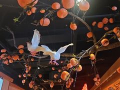 -鸽子窝(黄村店)