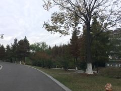-太子山公园(园东路)