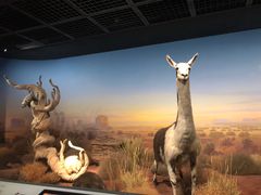 -陕西自然博物馆