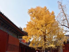 -承恩寺