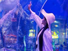 -石家庄极地海洋世界