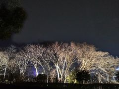 -艾溪湖湿地公园