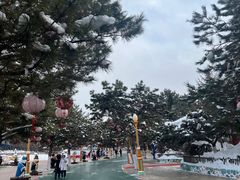 -沈阳方特欢乐世界