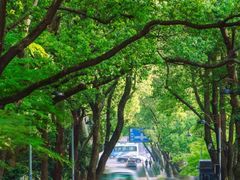 -杭州半山国家森林公园