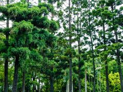 -人民公园(罗湖区)