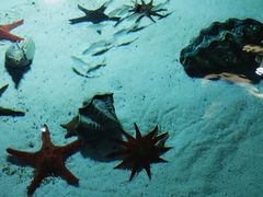 -福州罗源湾海洋世界旅游区