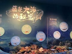 -福州罗源湾海洋世界旅游区