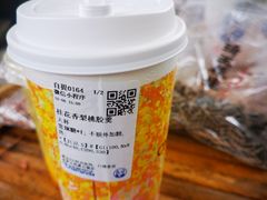 -五凤溪古镇