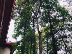 -四川大学(望江校区)