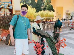 -西双版纳勐泐文化旅游区