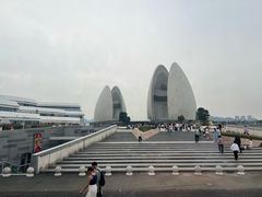 -野狸岛