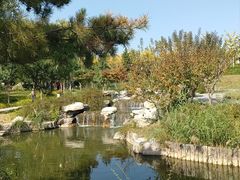 -西海子公园