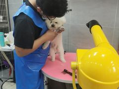 -宠福鑫康馨动物医院·骨科·眼科