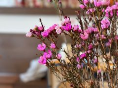 -LOOKA COFFEE(大鹏所城店)