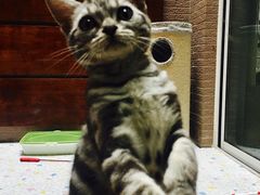 -驭力搏击健身(张江高科店)