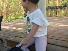 -合肥滨湖国家森林公园